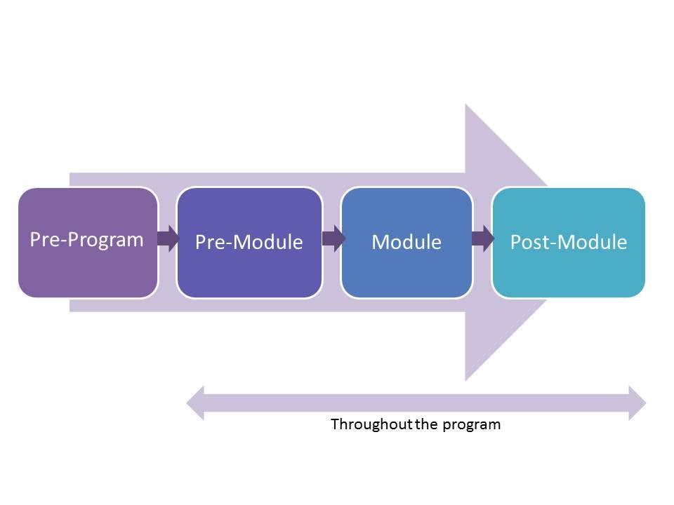 MSRM 2017 Program Process Graphic