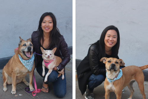 Tara Zedayko and Jessica Chu and their dogs