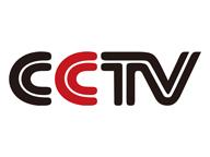 CCTV logo CCTV logo
