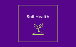 Soil Health