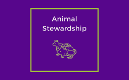 Animal Stewardship.png