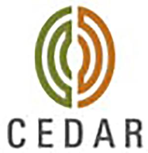 Cedar Management Consulting International Logo