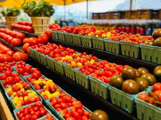 tomatoes in produce boxes