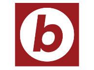 Boston.com logo