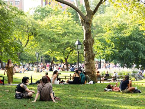 Students sitting in Washington Sq Park