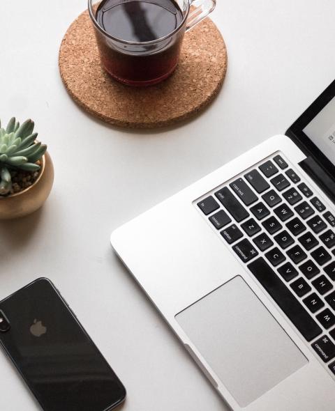 Laptop and plant