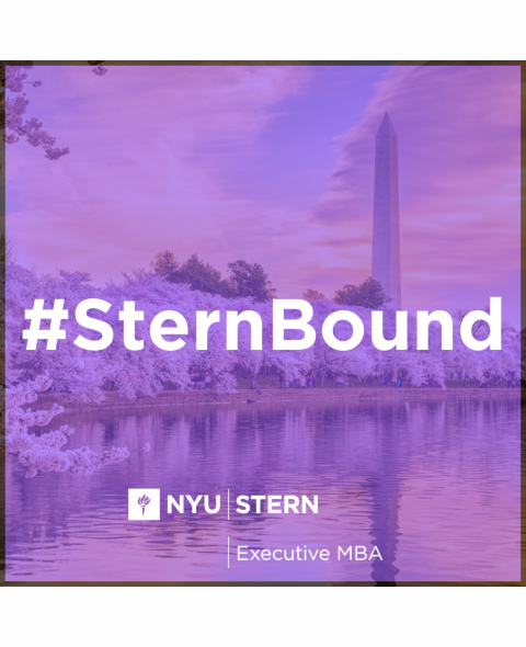 EMBA SternBound DC, DOWNLOAD 2