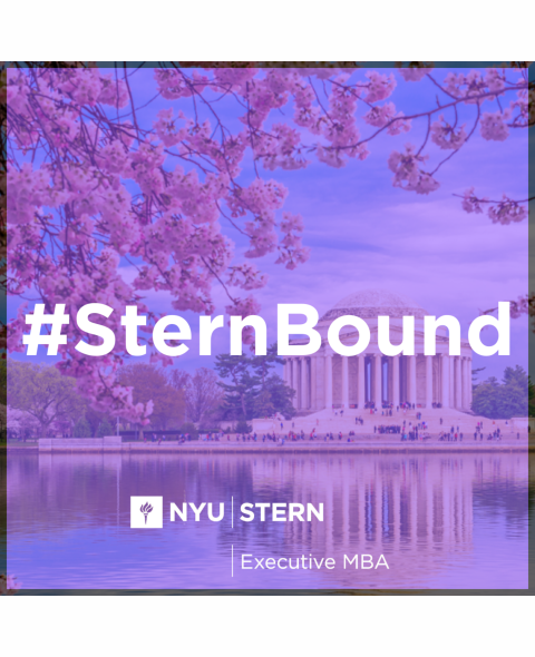 EMBA SternBound DC, DOWNLOAD 3