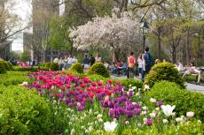 Washington Square Park