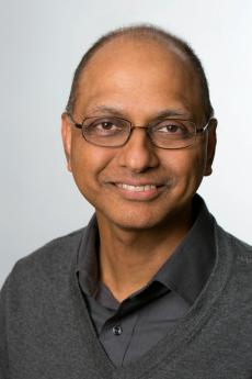 Professor Sunder Narayanan